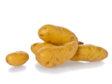 Russian Fingerling Potatoes